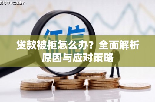 利津贷款被拒怎么办？全面解析原因与应对策略