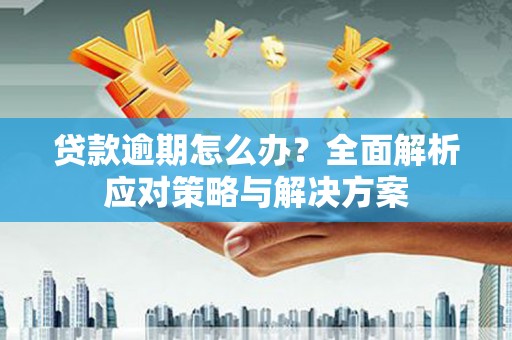 利津贷款逾期怎么办？全面解析应对策略与解决方案