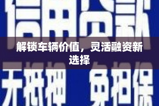 利津解锁车辆价值，灵活融资新选择
