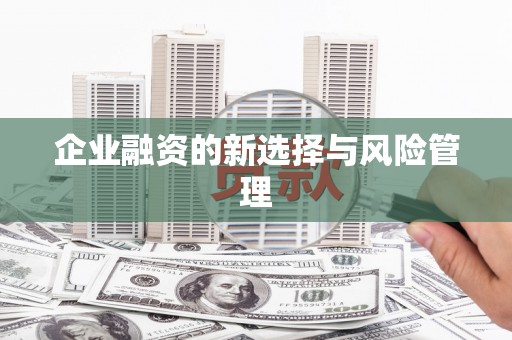 利津企业融资的新选择与风险管理