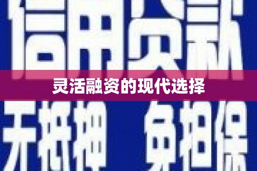 利津灵活融资的现代选择