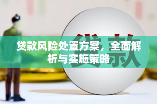 利津贷款风险处置方案，全面解析与实施策略
