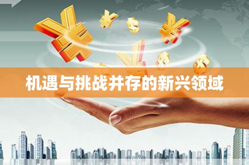利津机遇与挑战并存的新兴领域