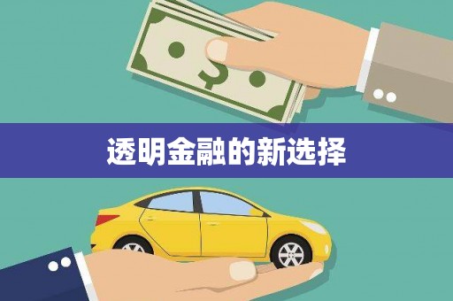 利津透明金融的新选择
