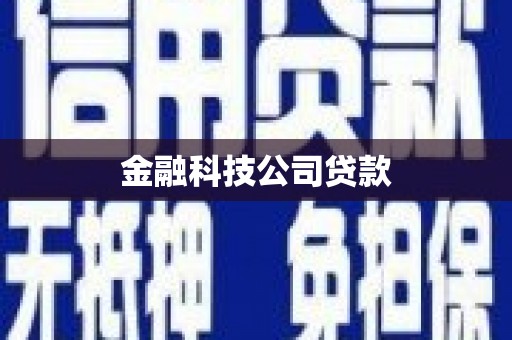 利津金融科技公司贷款
