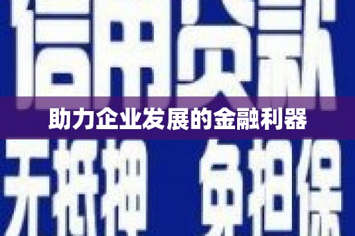 利津助力企业发展的金融利器
