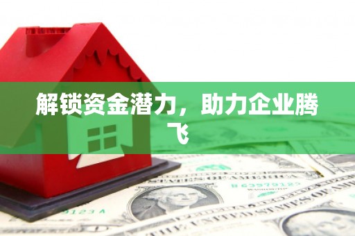 利津解锁资金潜力，助力企业腾飞