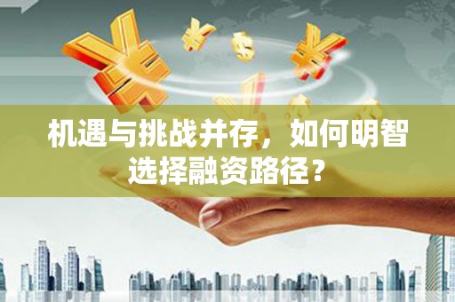 利津机遇与挑战并存，如何明智选择融资路径？