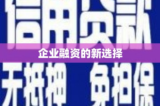 利津企业融资的新选择
