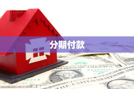 利津分期付款