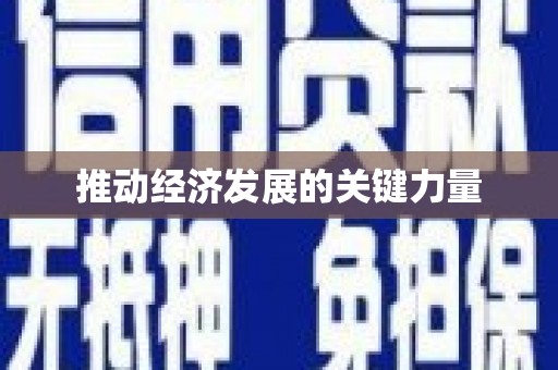 利津推动经济发展的关键力量
