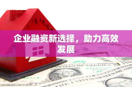 利津企业融资新选择，助力高效发展