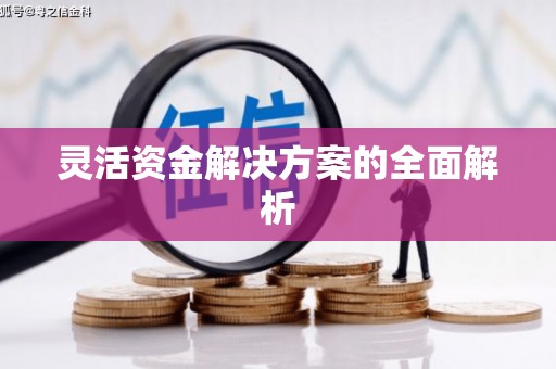 利津灵活资金解决方案的全面解析