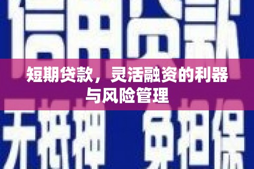 利津短期贷款，灵活融资的利器与风险管理