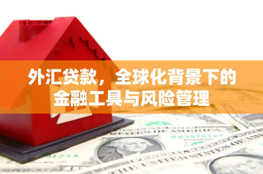 利津外汇贷款，全球化背景下的金融工具与风险管理
