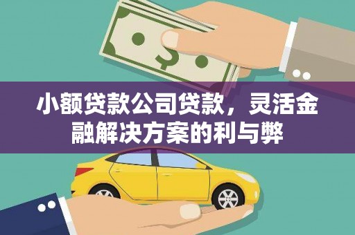 利津小额贷款公司贷款，灵活金融解决方案的利与弊