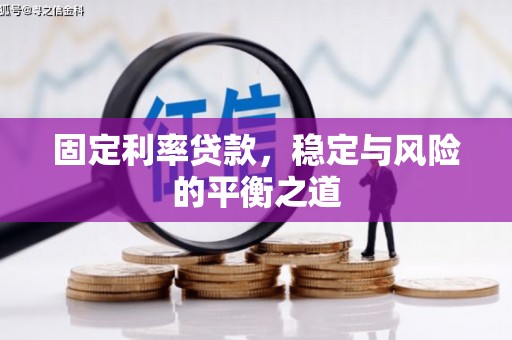 利津固定利率贷款，稳定与风险的平衡之道