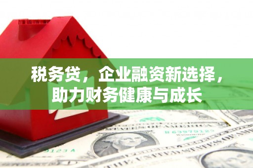 利津税务贷，企业融资新选择，助力财务健康与成长