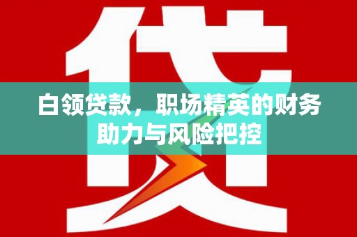 利津白领贷款，职场精英的财务助力与风险把控