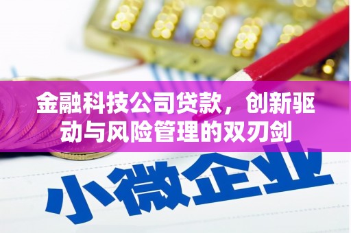 利津金融科技公司贷款，创新驱动与风险管理的双刃剑